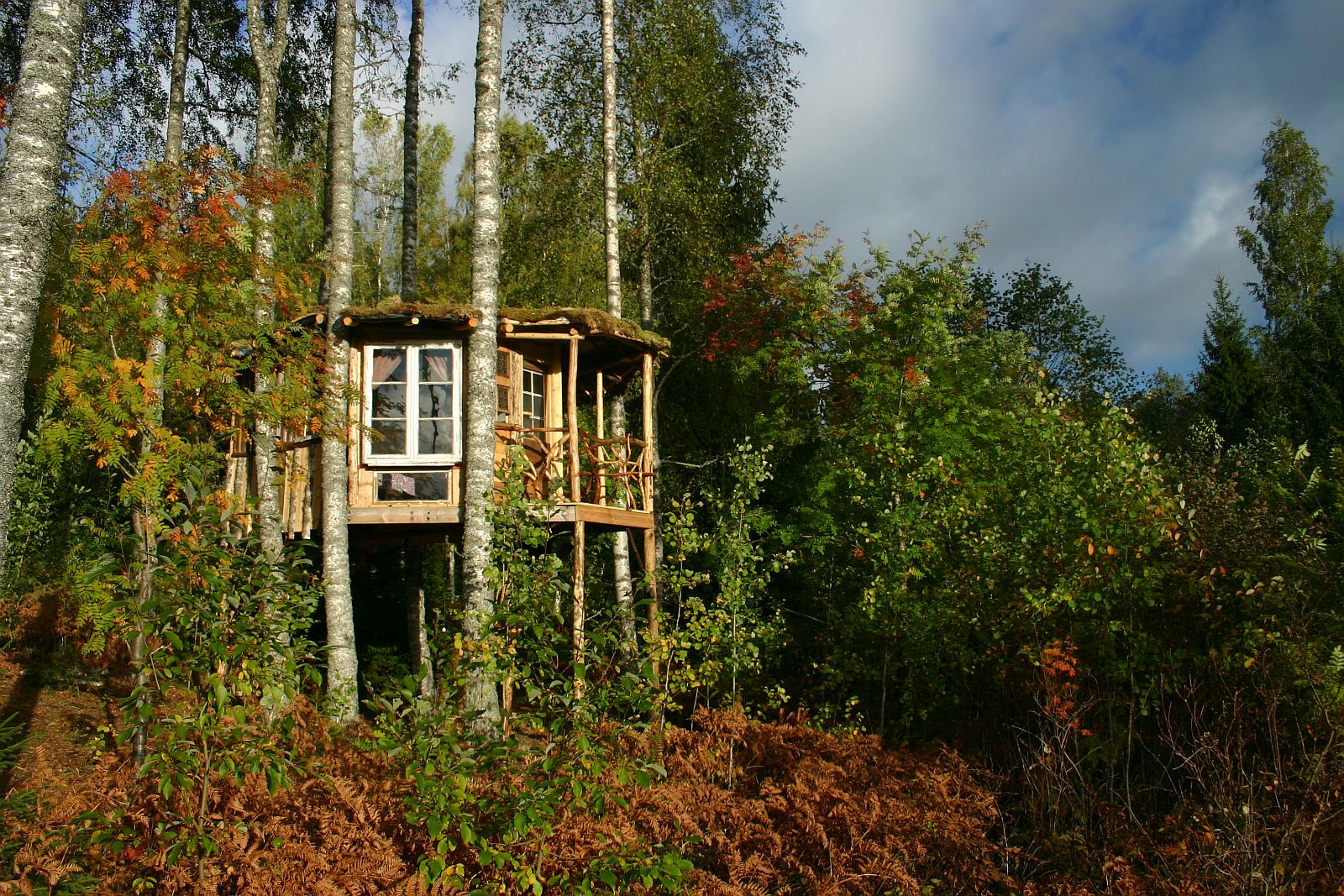 Bluesberry Woods Treehouse